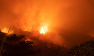 Amazonian-Fire.jpg